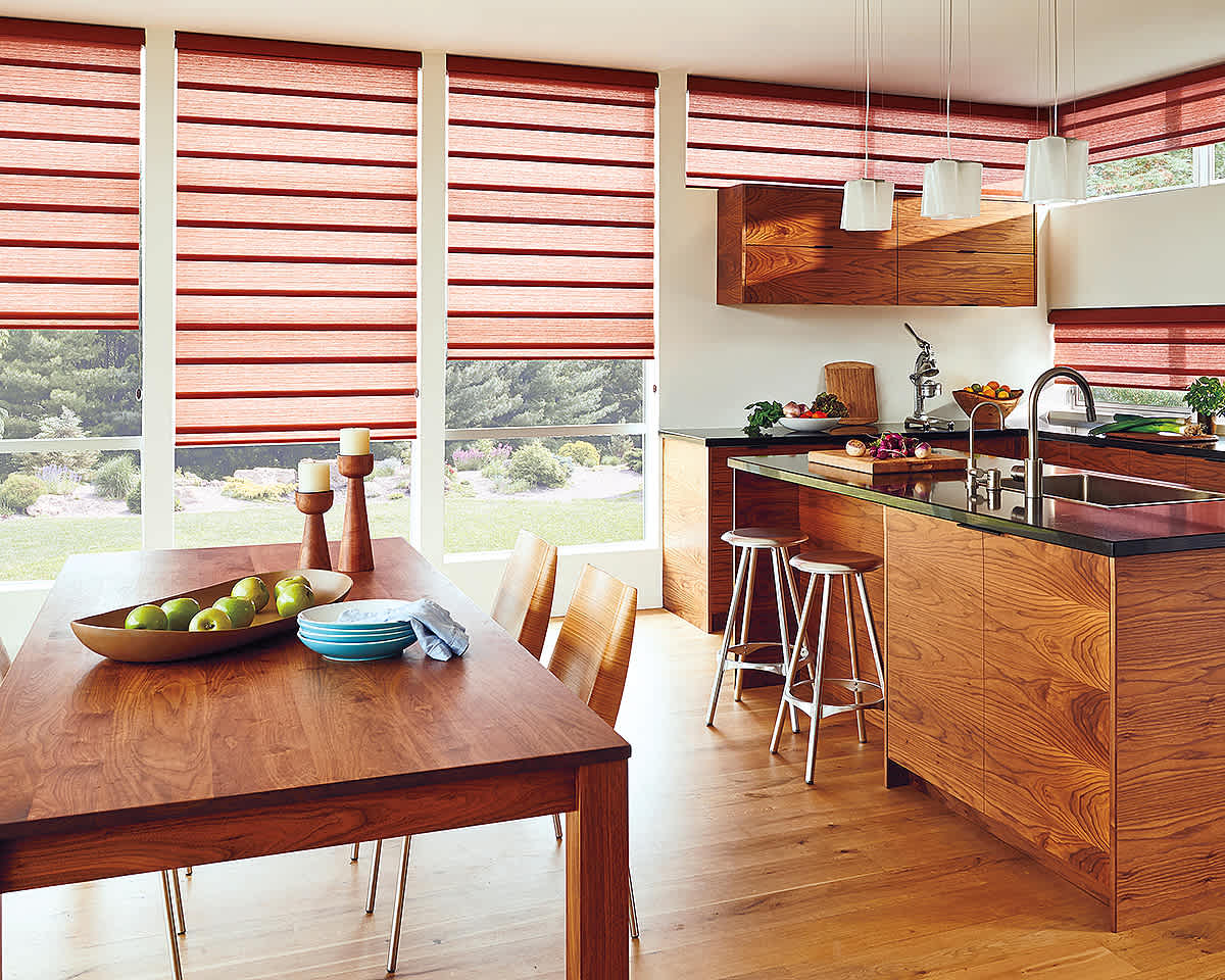 Hunter Douglas Vignette Modern Roman Shades from Decorview