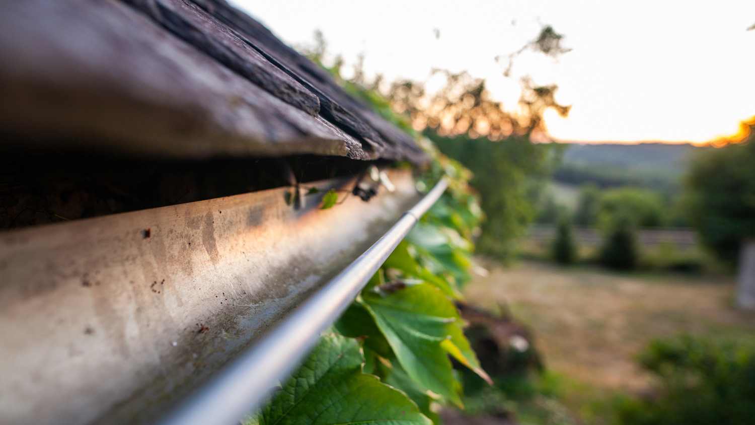 A close-up of house’s gutter