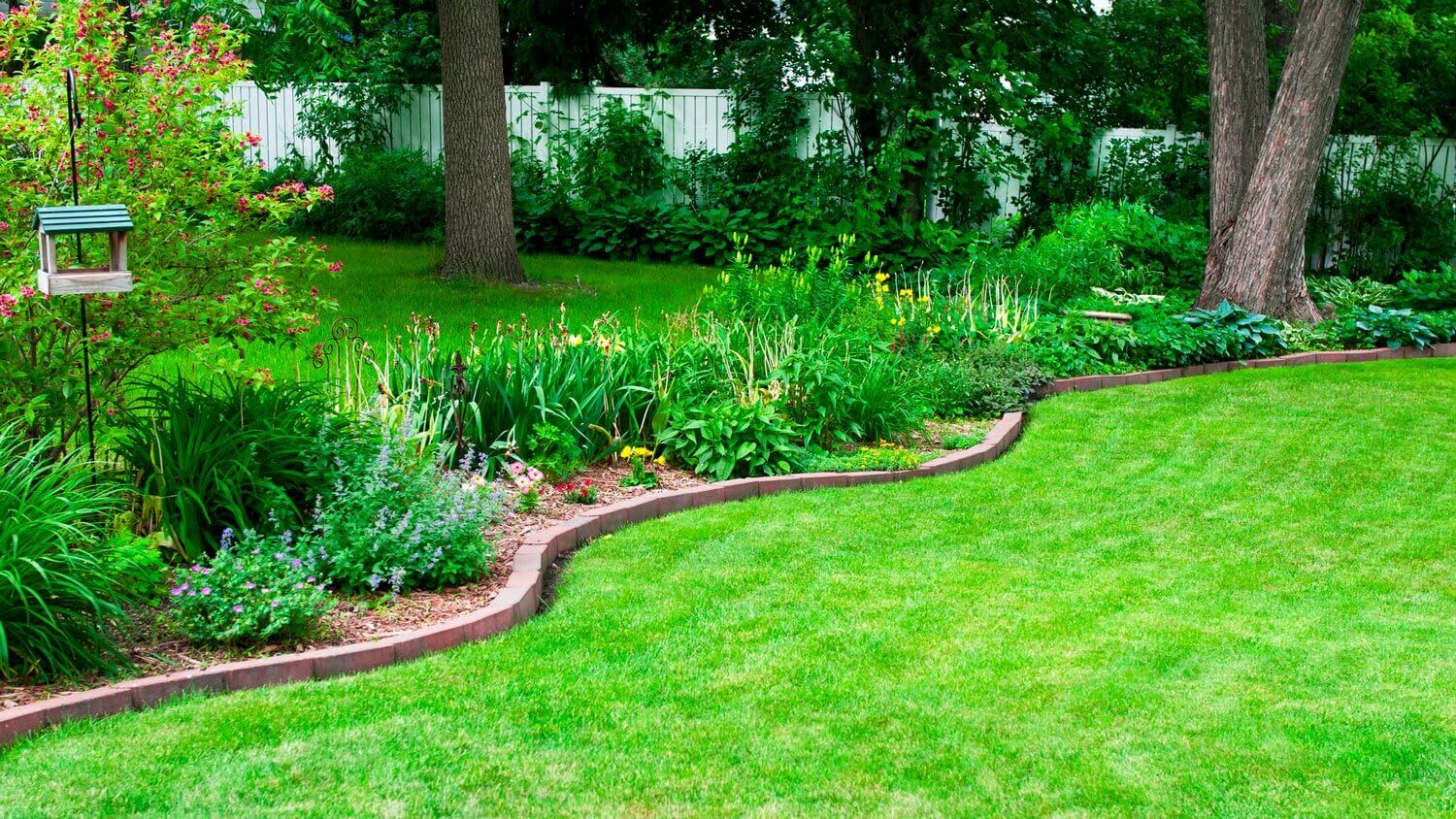 A flower bed in a backyard with brick edging