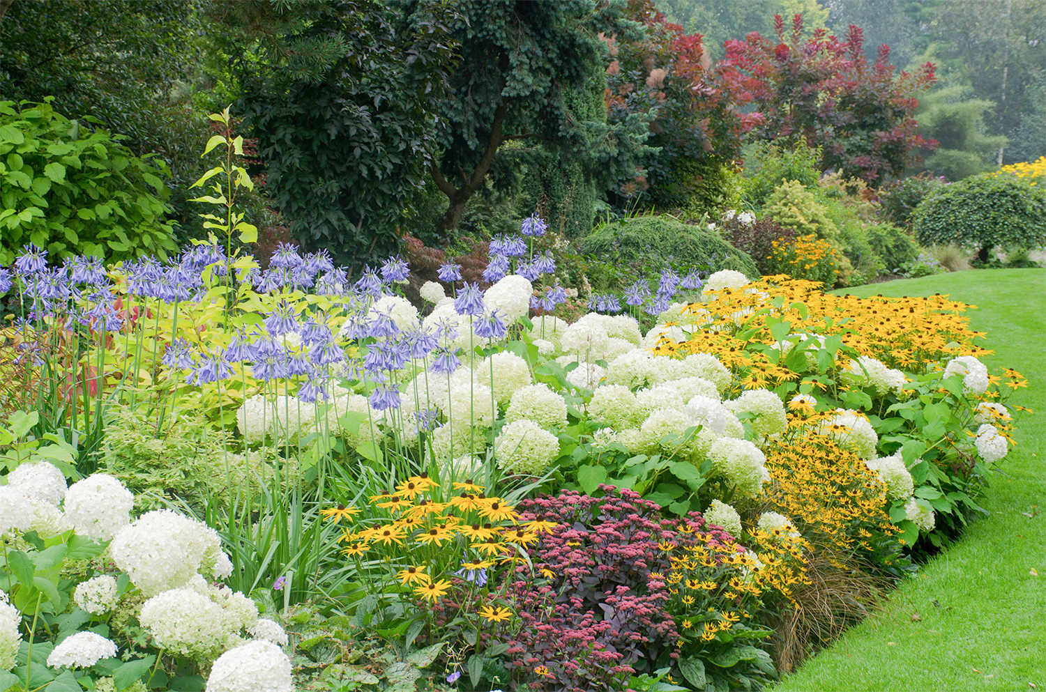 Landscaped perennial garden
