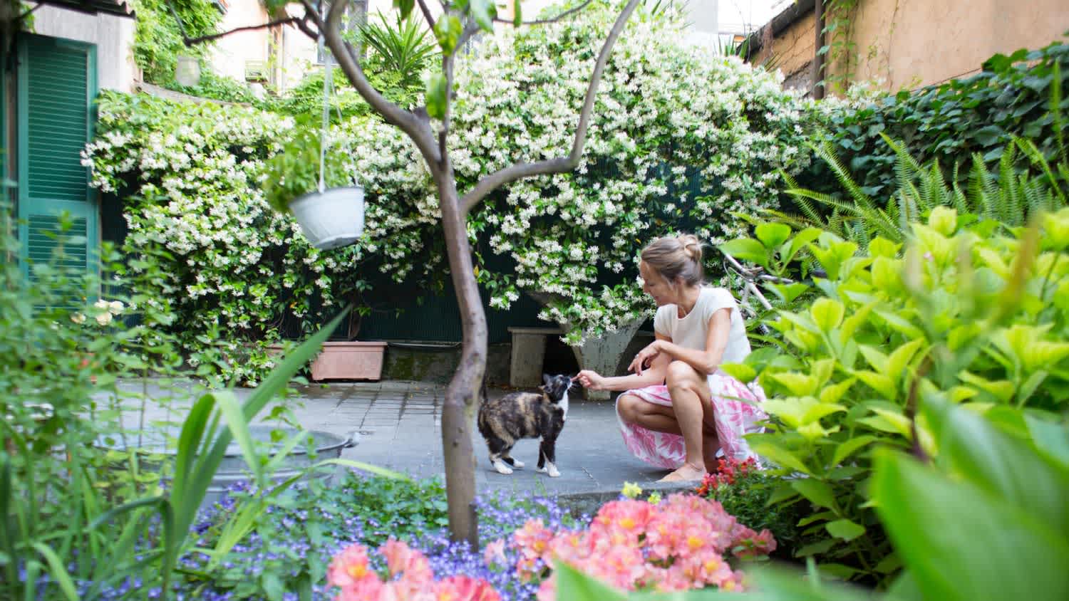 A woman feeding a treat to her cat in backyard