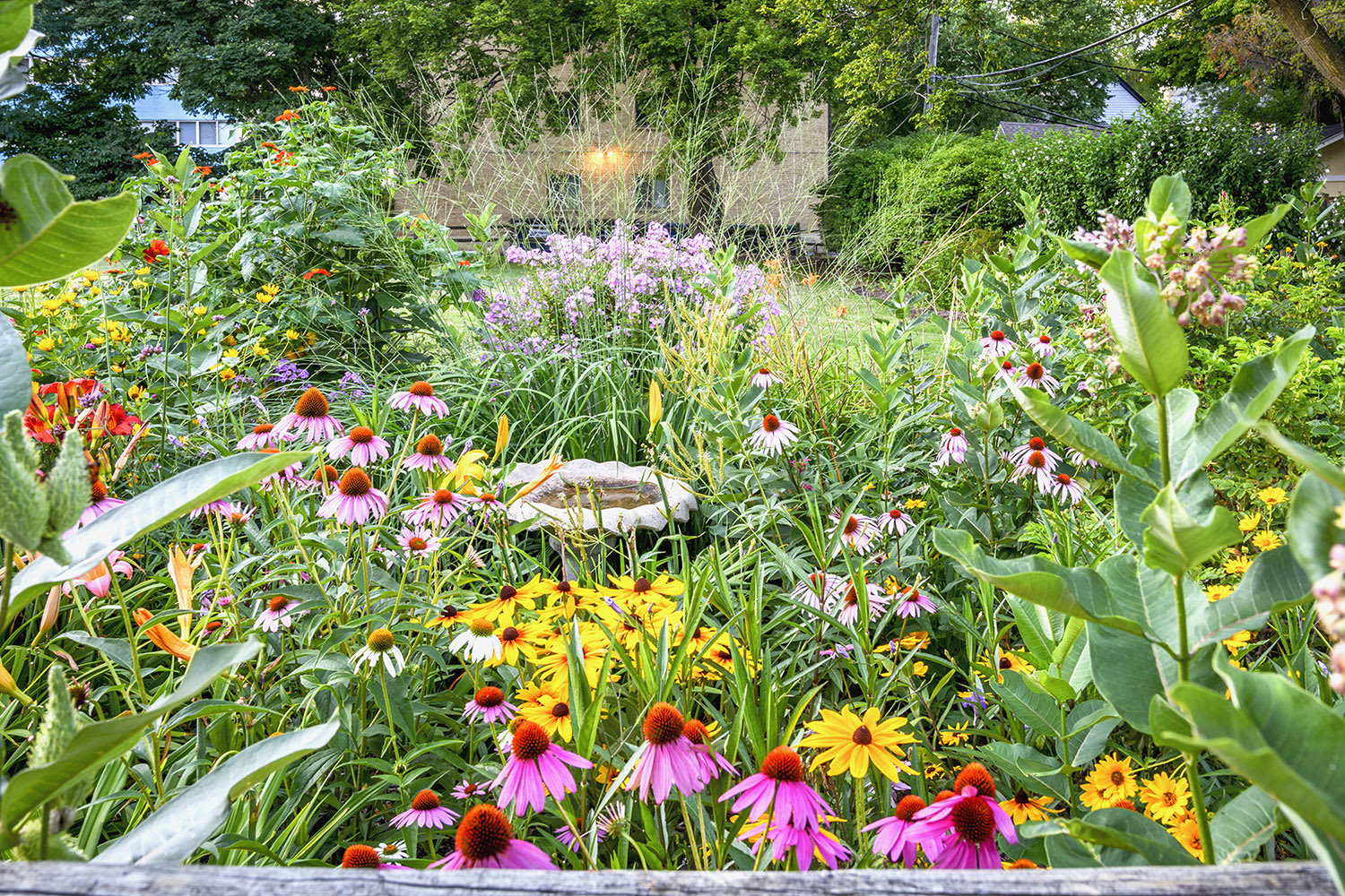Backyard perennial garden