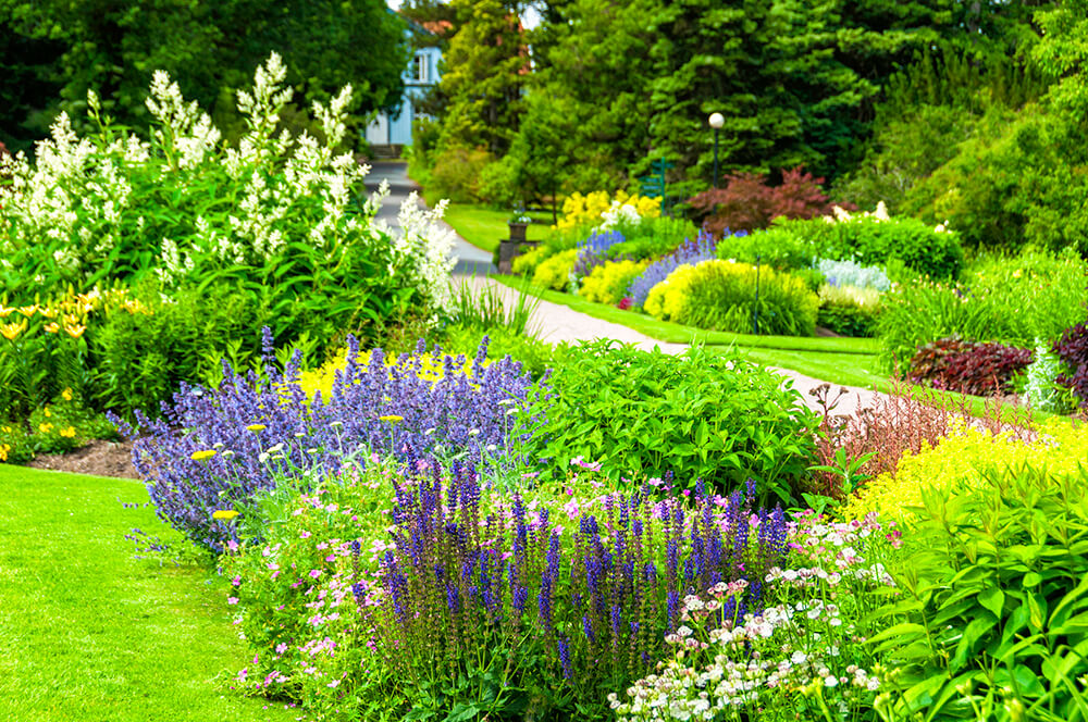 Lush summer garden with edging