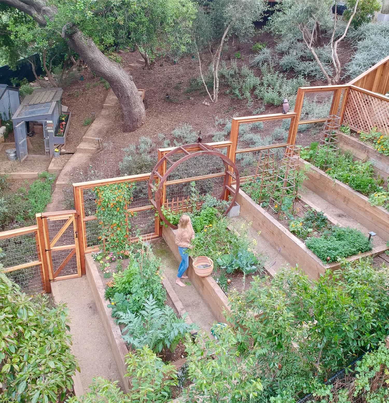 A medicine garden