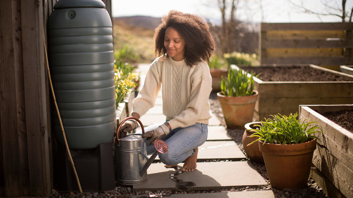 Woman fills up watering can from rain barrel
