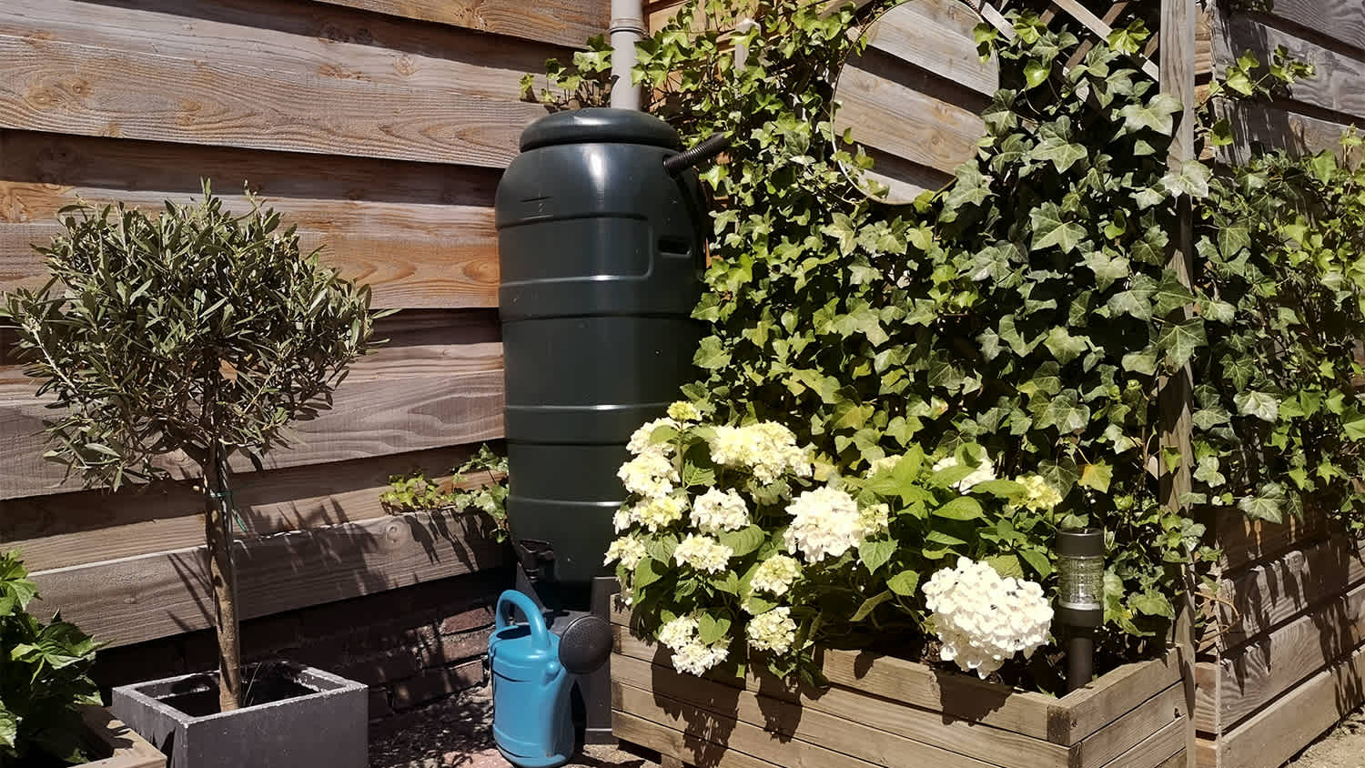 A rainwater tank in garden