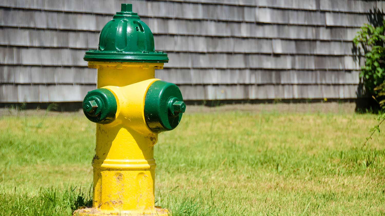 Yellow and green fire hydrant next to a house
