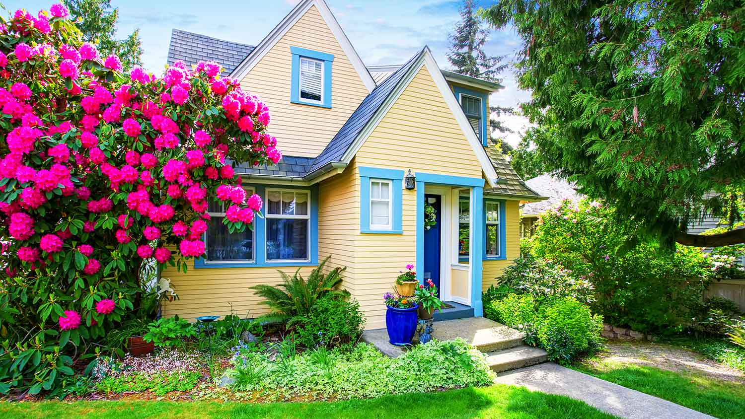 Small yellow house with blooming tree