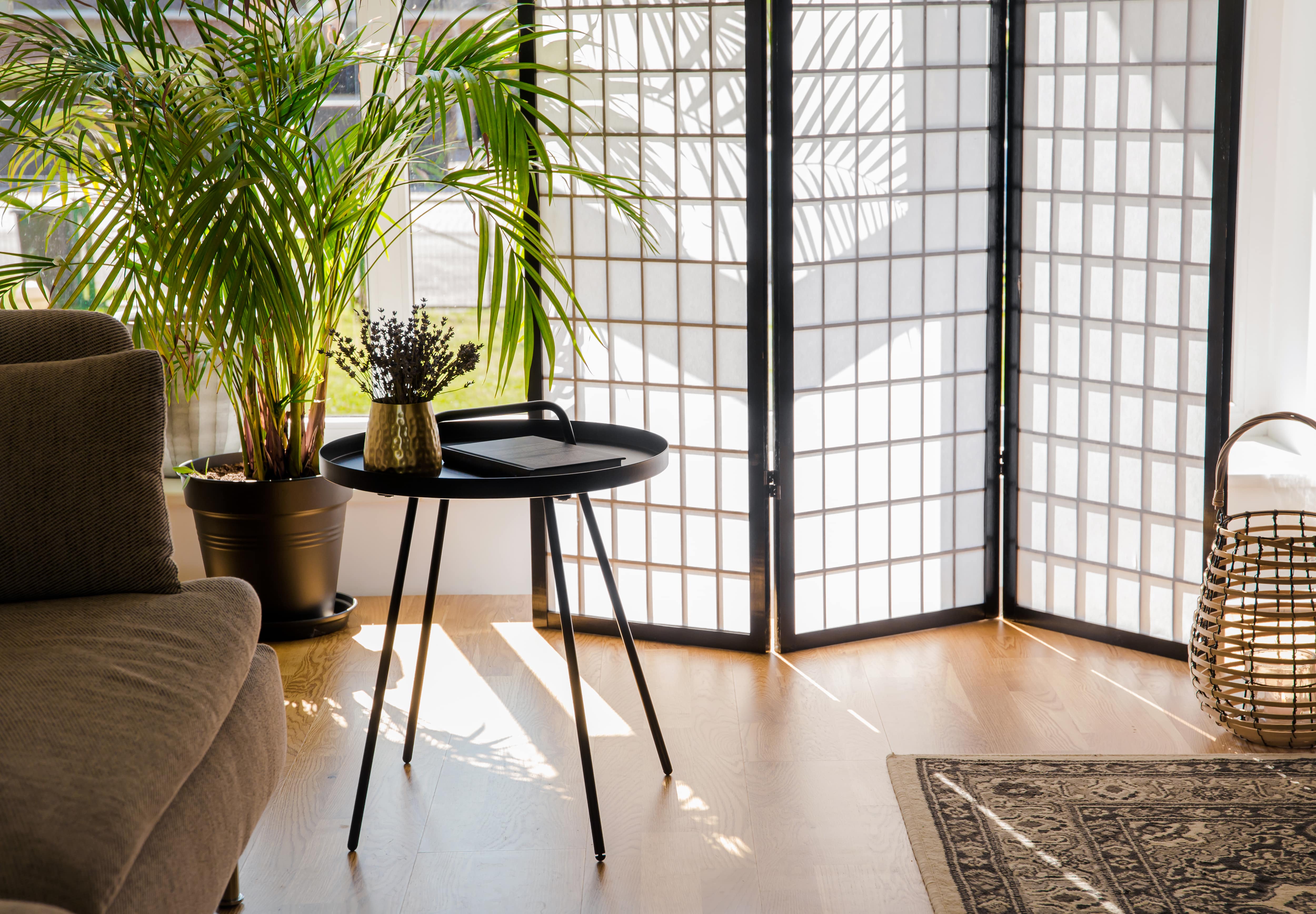 Folding translucent room divider