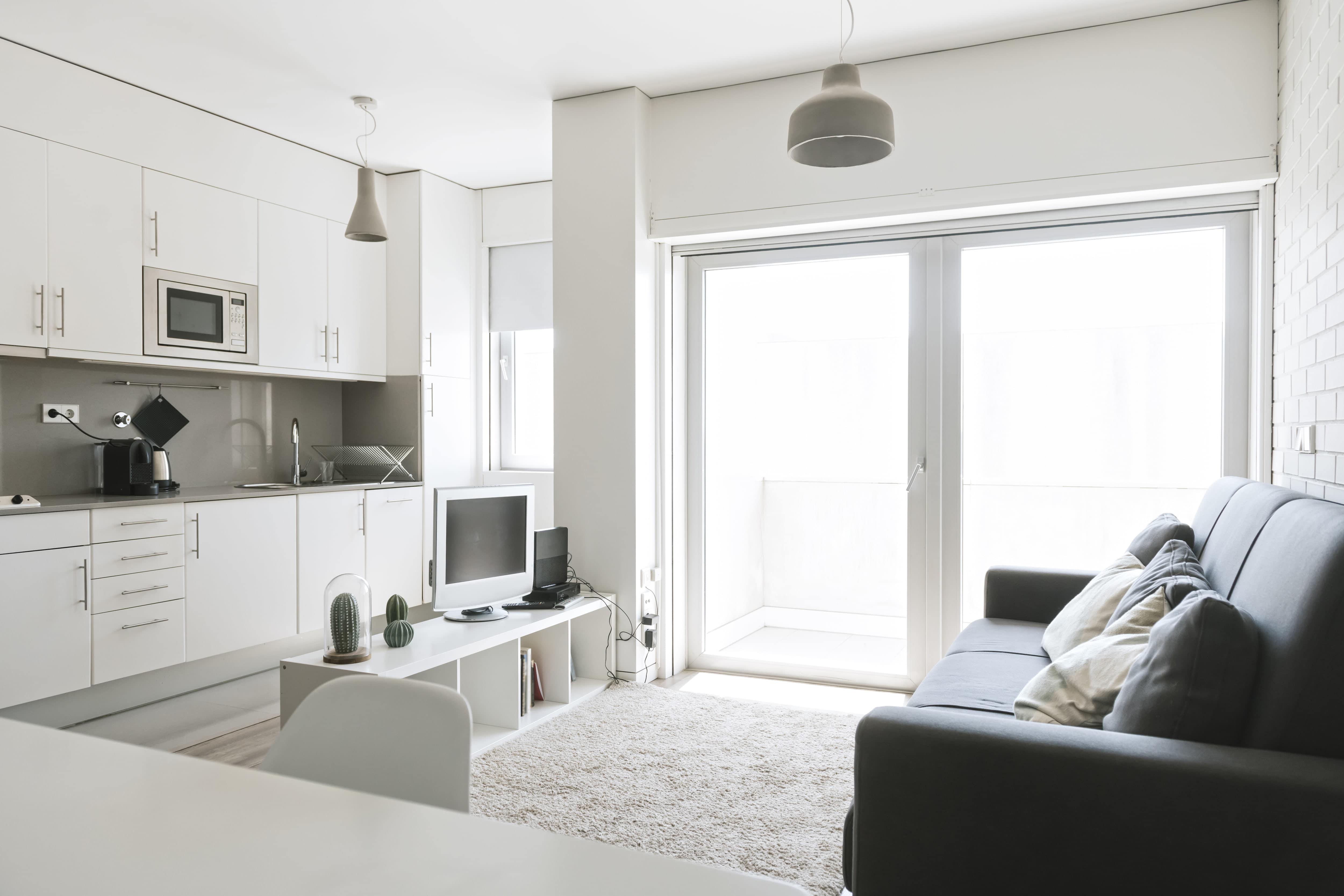 Open-concept apartment with small room divider