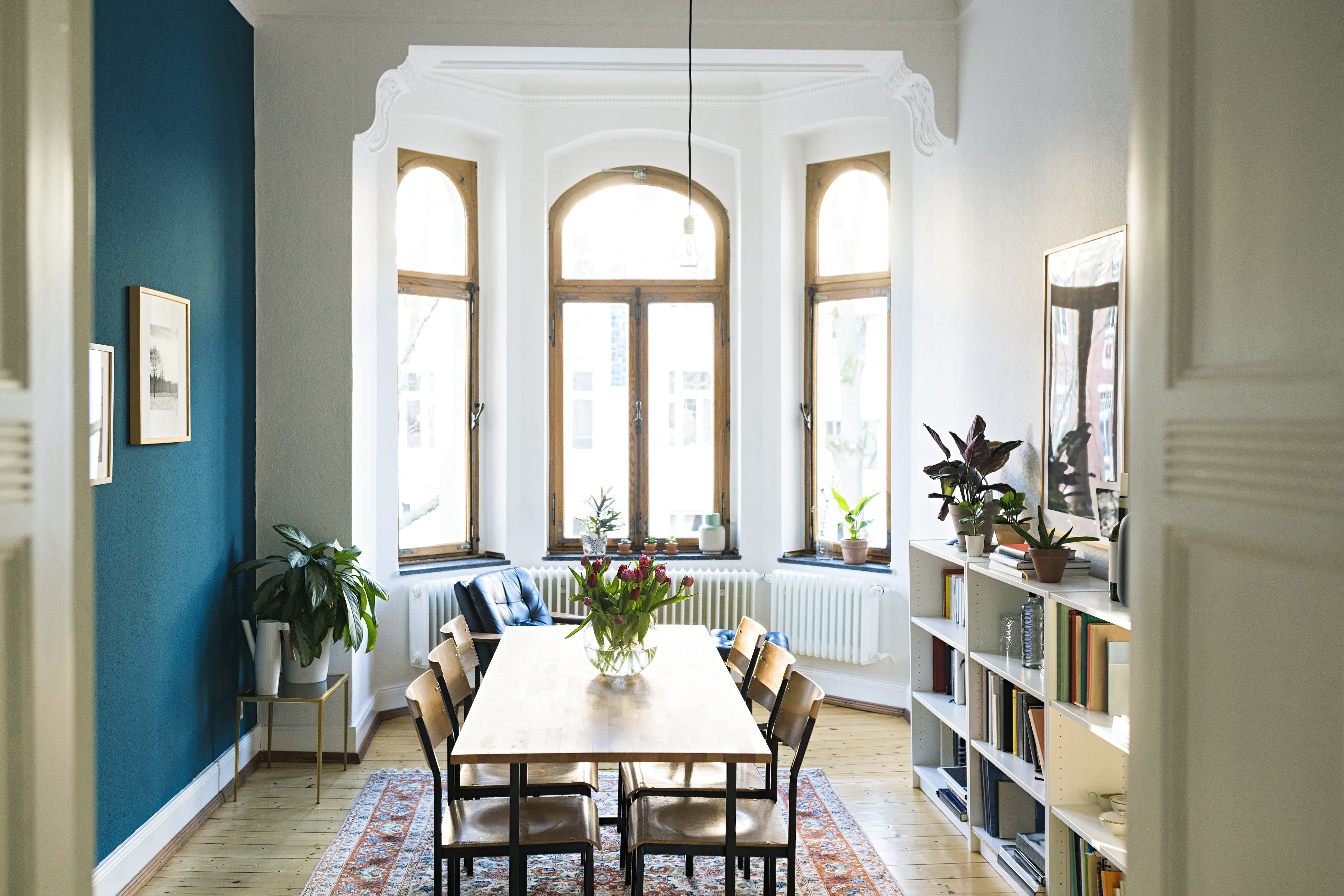 Blue accent wall in dining room