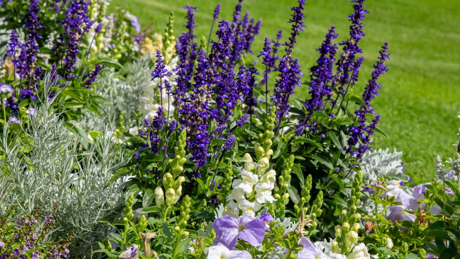 A garden decoration with lavender