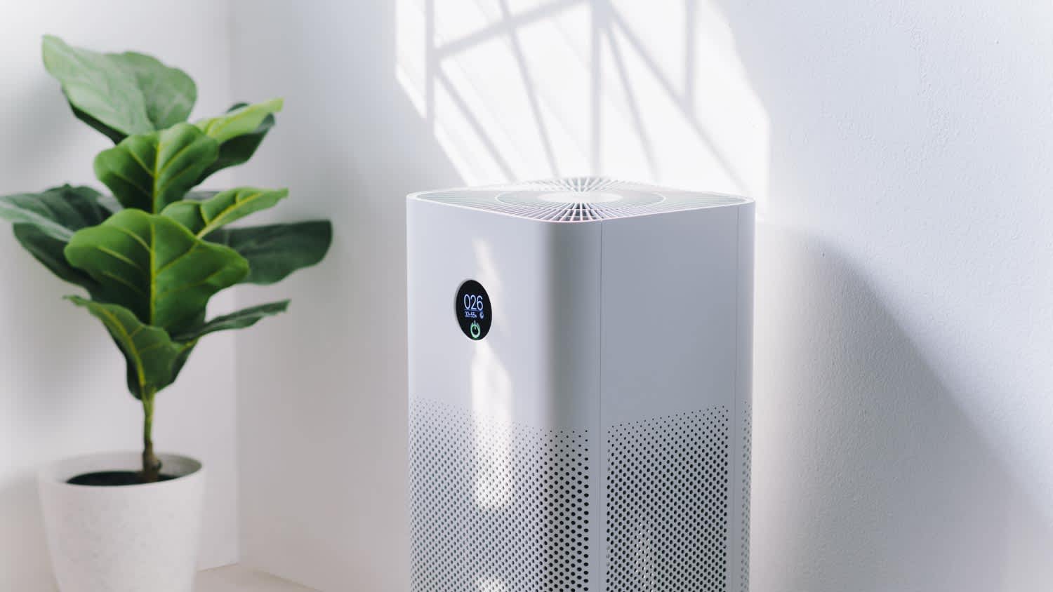 An air purifier in living room