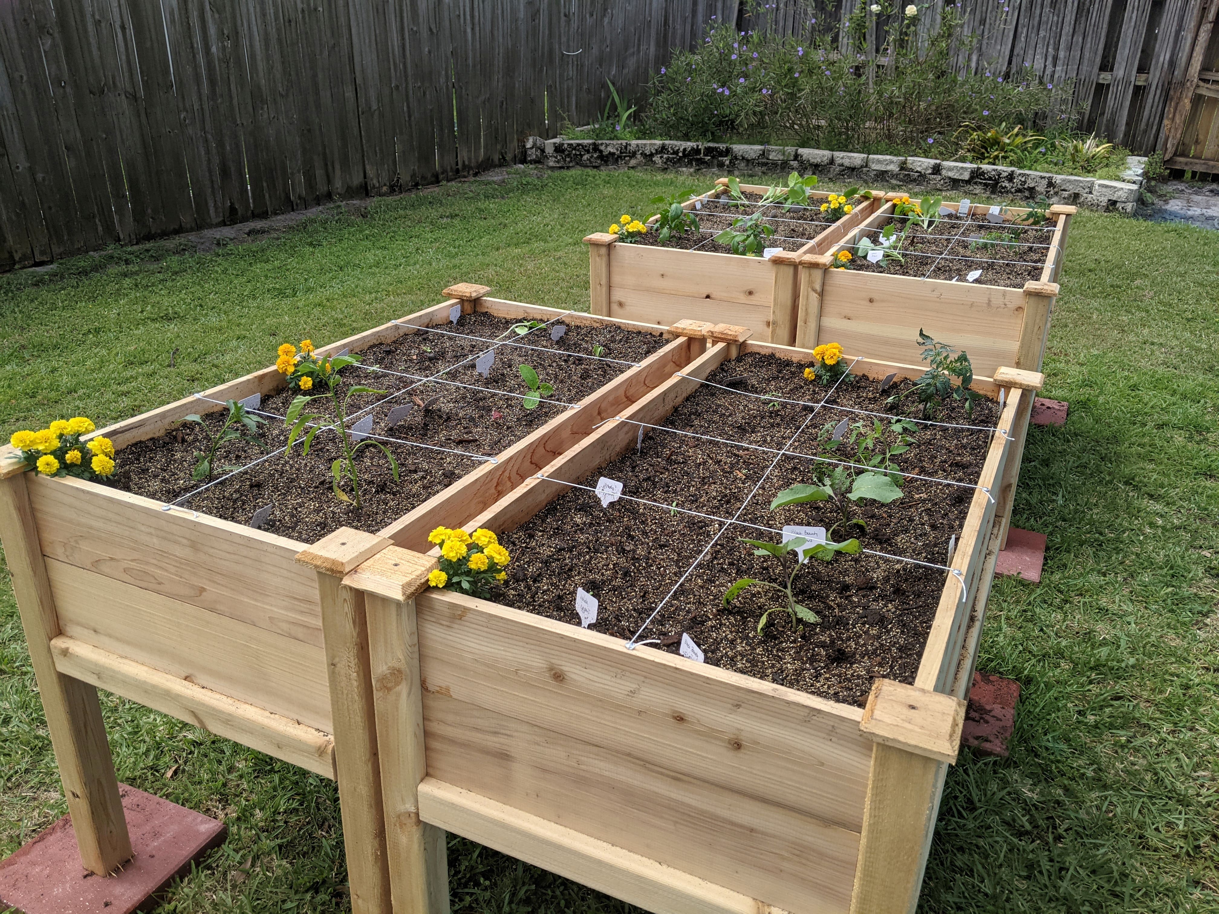 Four unstained wood raised garden beds growing a variety of flowers