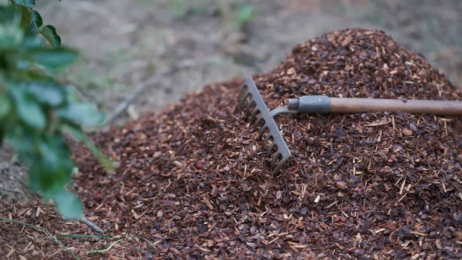 Mulch in the backyard with the rake on top of it