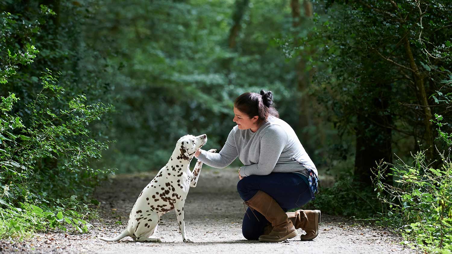 Woman training dalmatian dog in the park