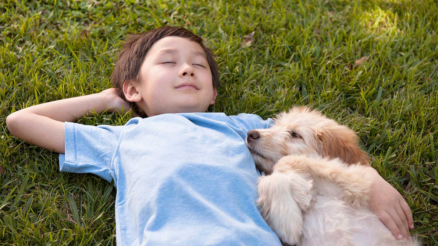 Boy lying on the grass with his puppy