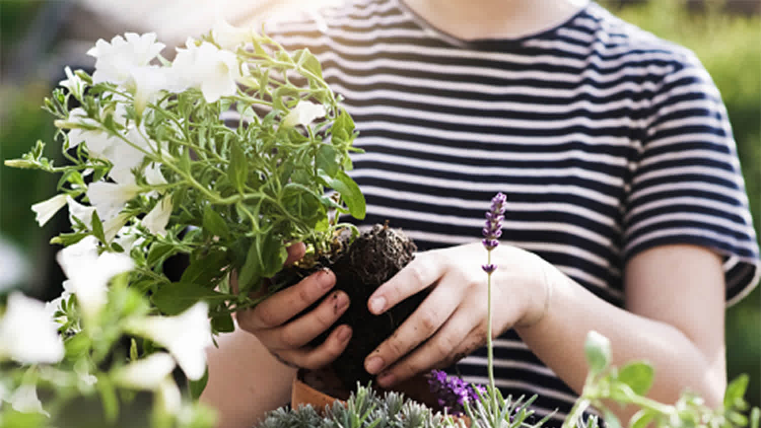 Plant flowers garden striped shirt