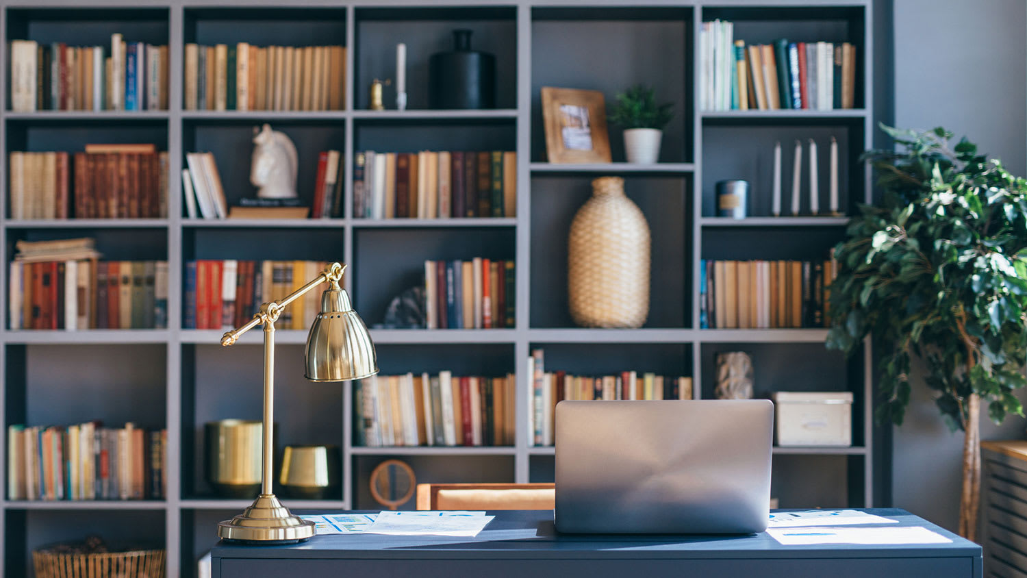 Home office with book shelves