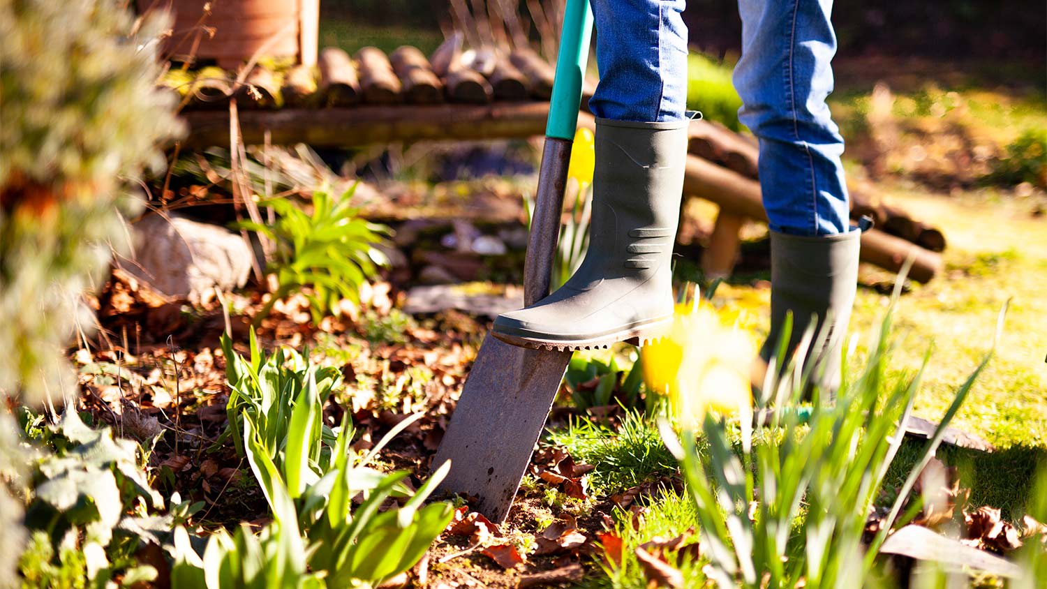 Dig shovel in ground garden