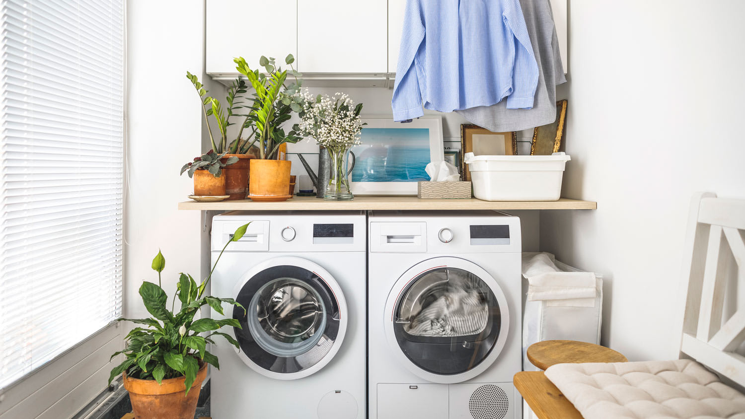 A bright laundry room with plants