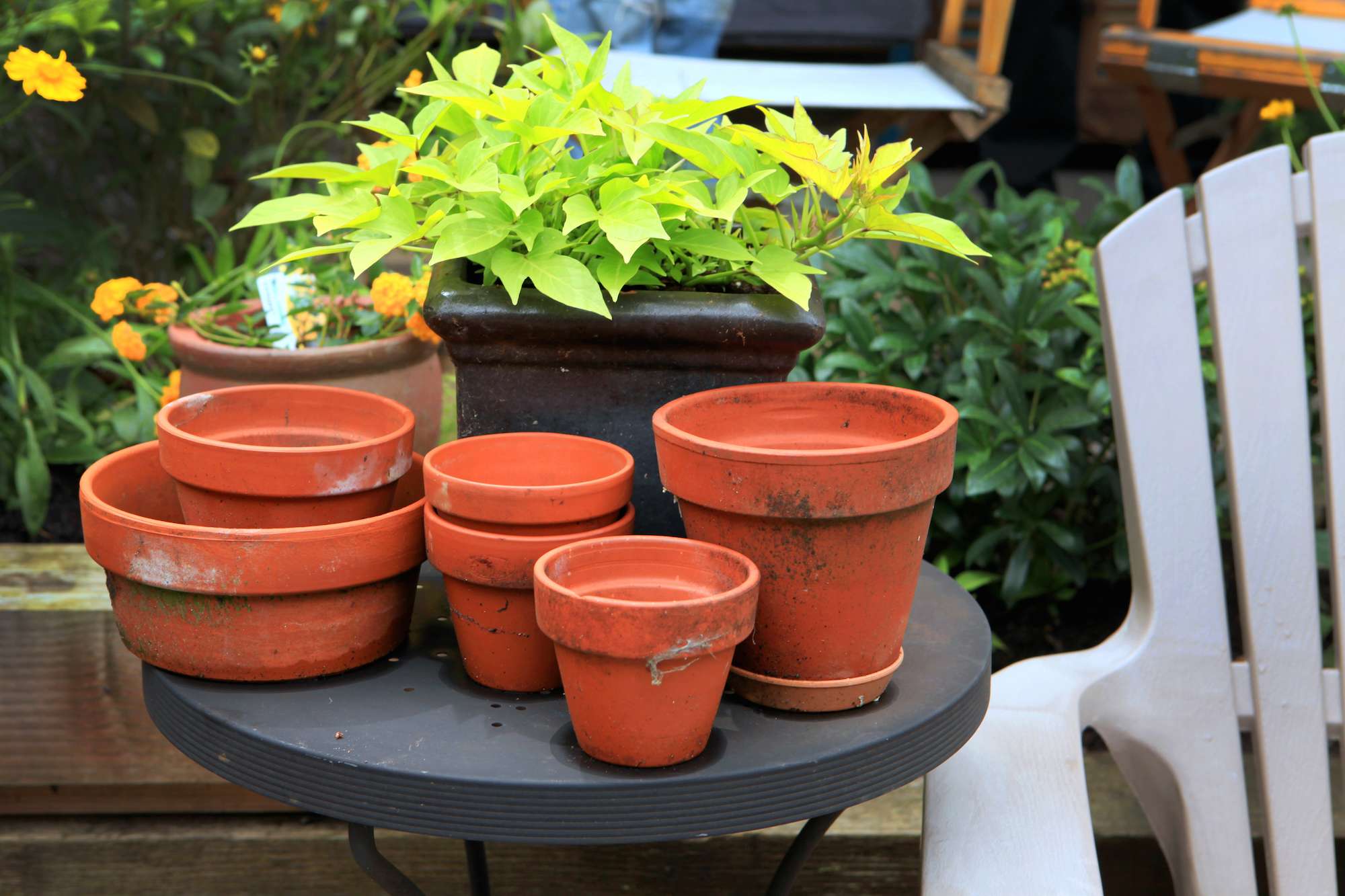 terracotta pots stacked on a patio table