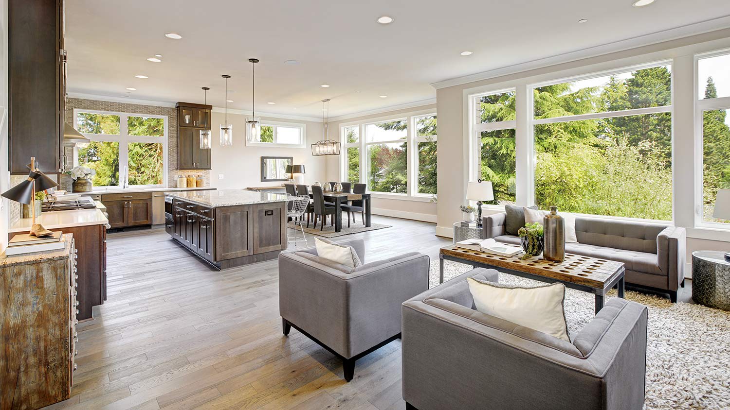 Big clean windows in living room and kitchen open concept