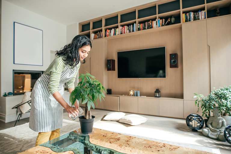 woman watering plant in modern living room with wall-mounted television