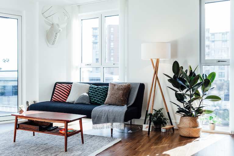living room interior with modern furniture, large windows, and a rubber plant in corner