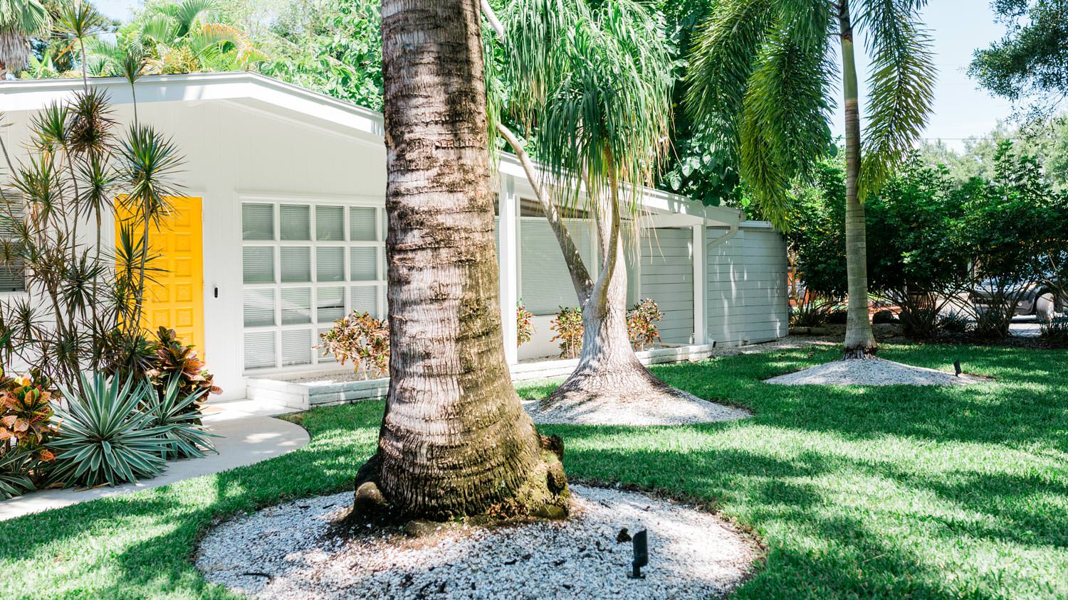 Trees in a lush garden in front of the house