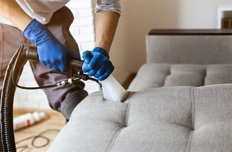 Man professionally cleaning couch upholstery