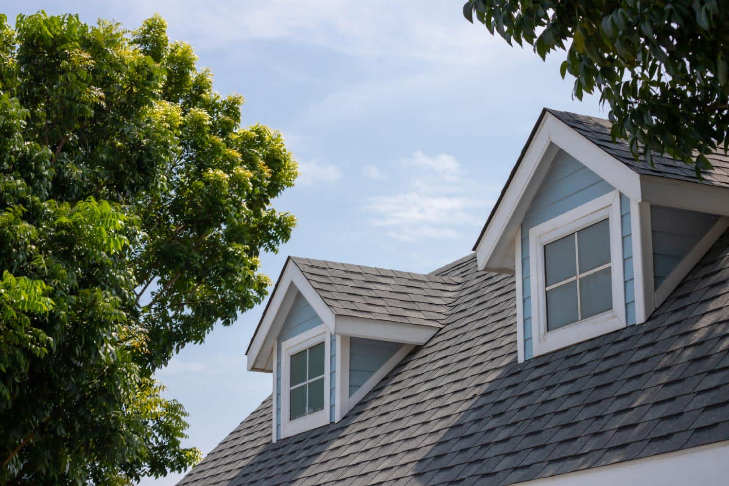 A house slate roof among a lot of trees