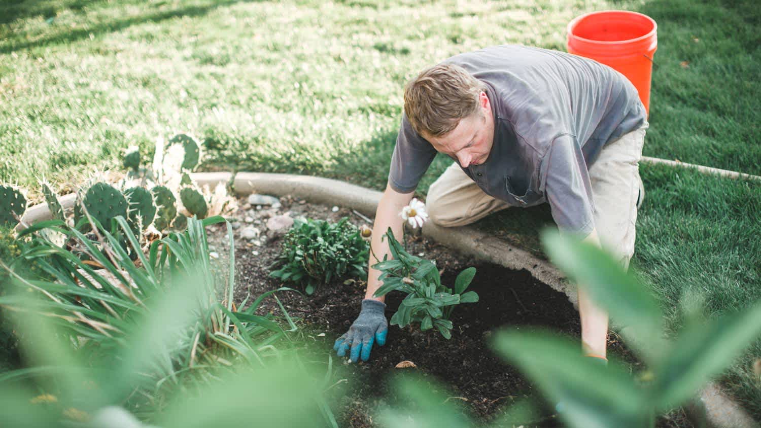 A man planting flowers on a garden