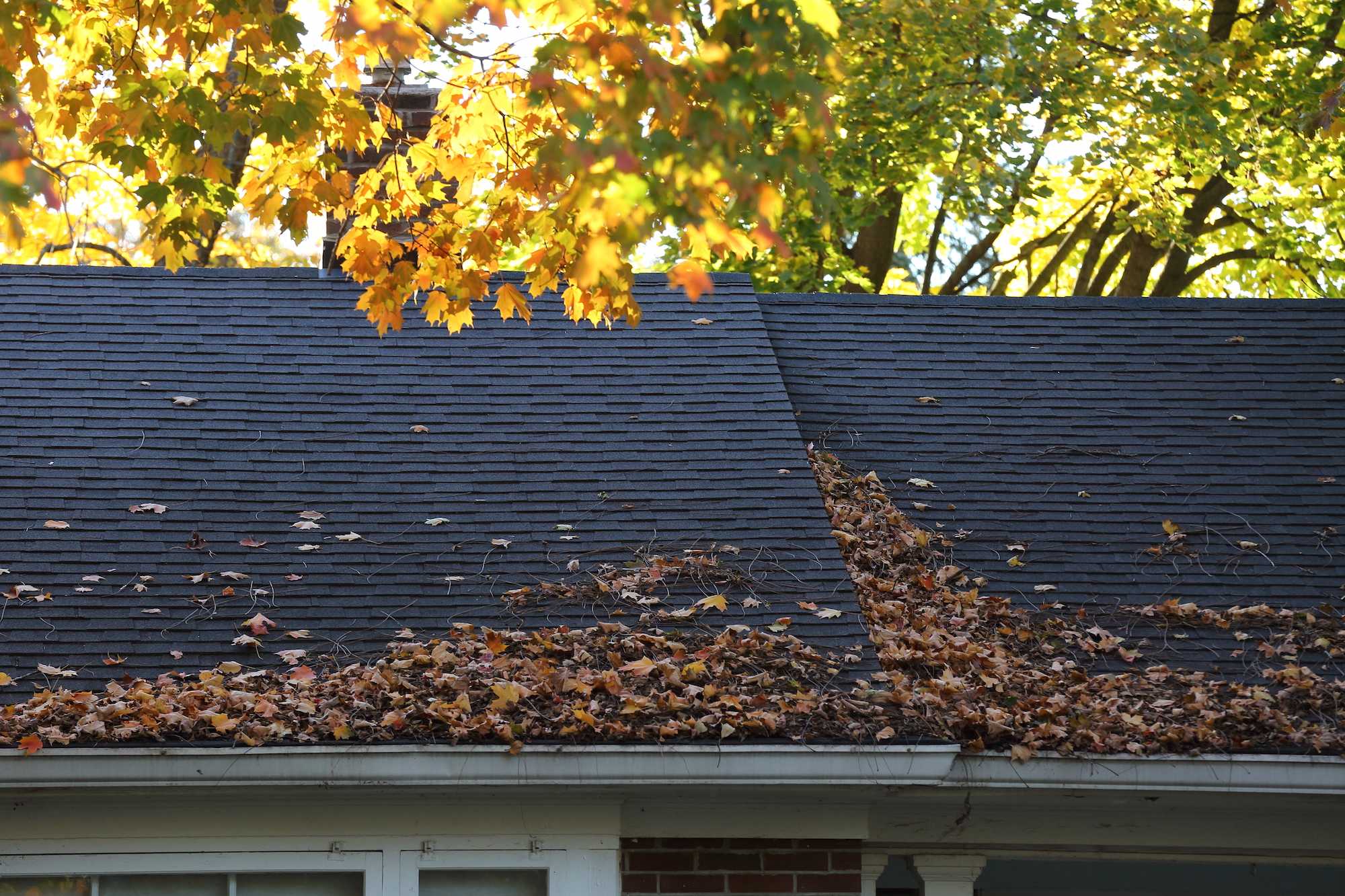 fall leaves falling onto roof