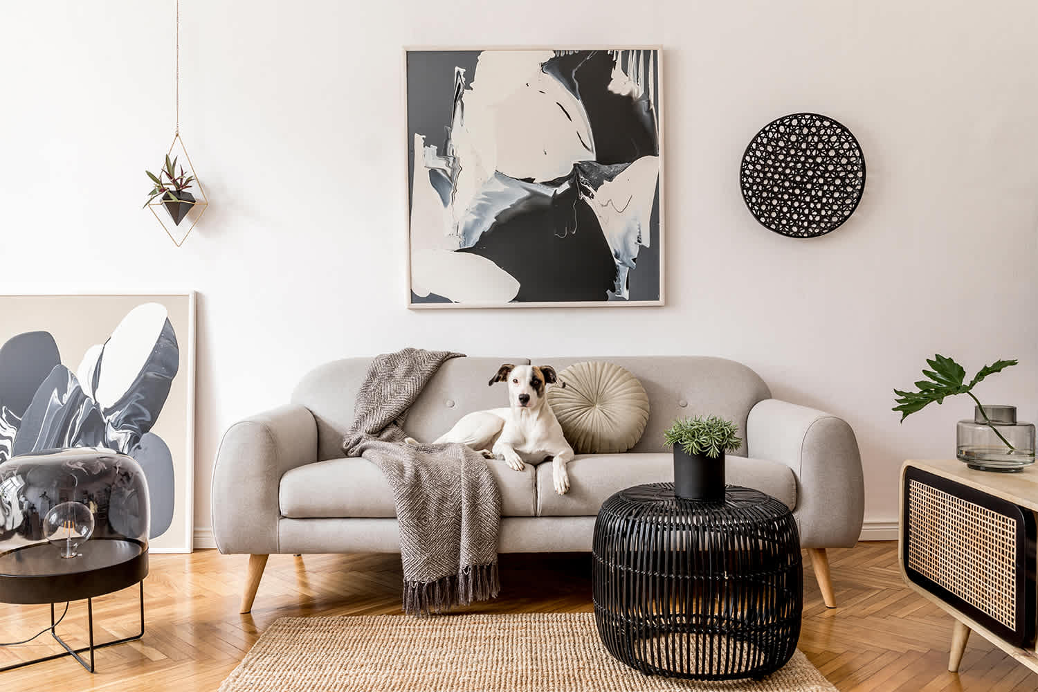 Dog sitting on the couch in a modern sitting area