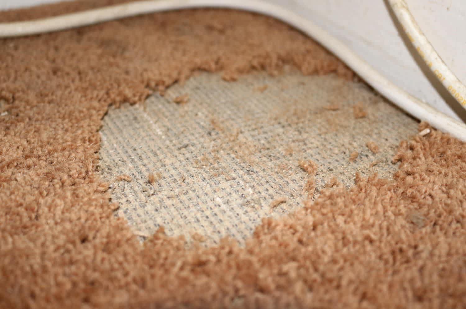 A close up of damage carpet