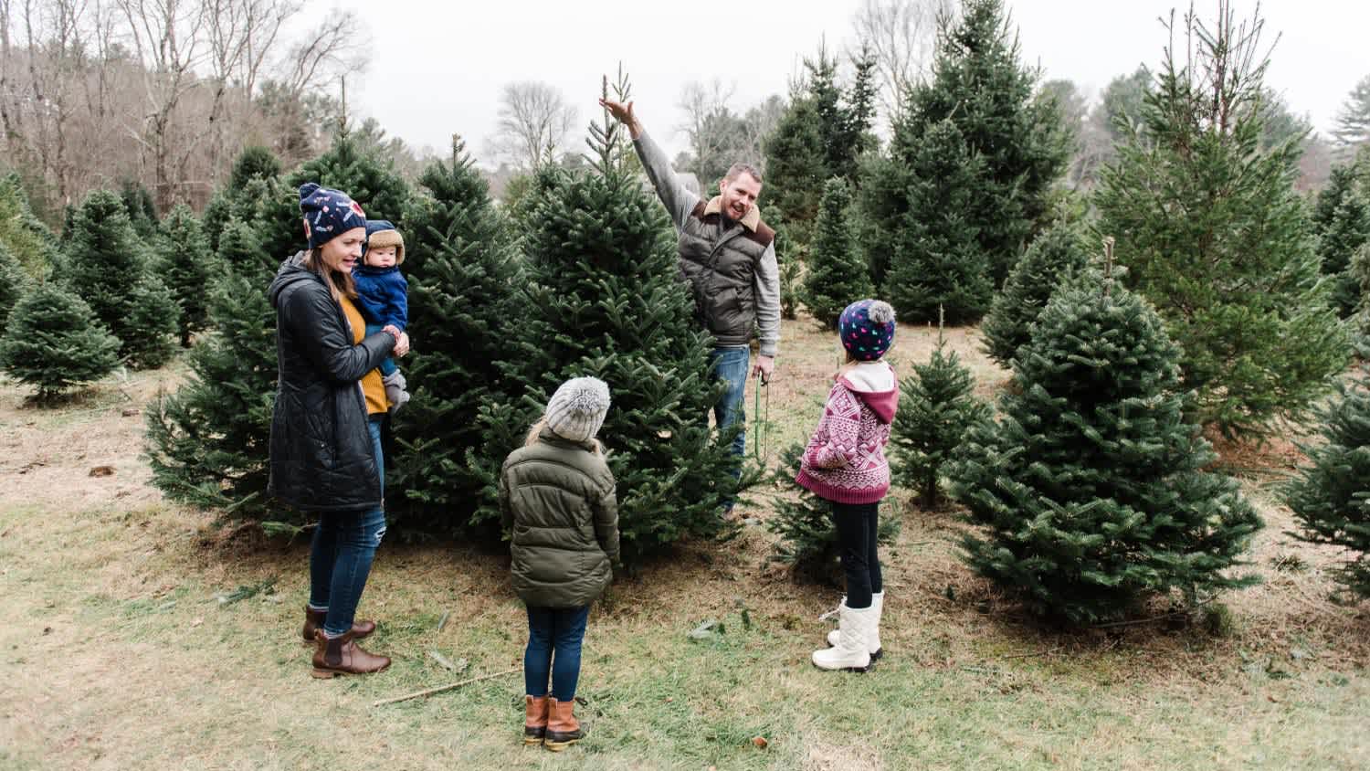 Family cutting down their Christmas tree