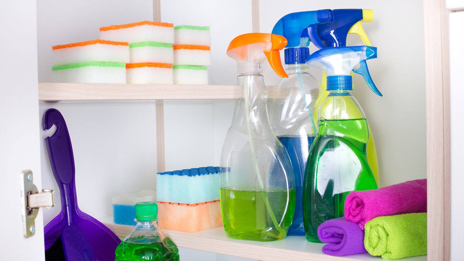 Organized cabinet with cleaning supplies