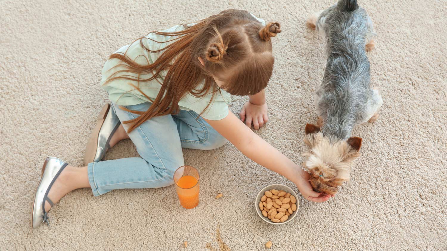 A little girl with her dog eating nut and drinking juice on the carpet