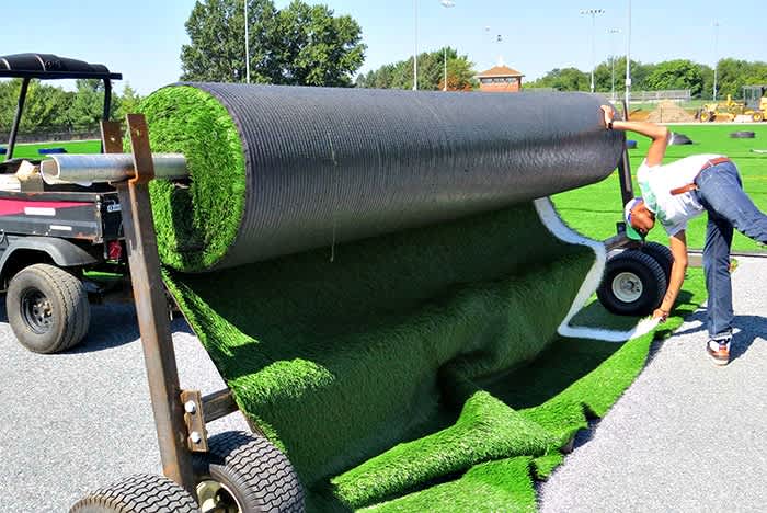 dog on artificial grass