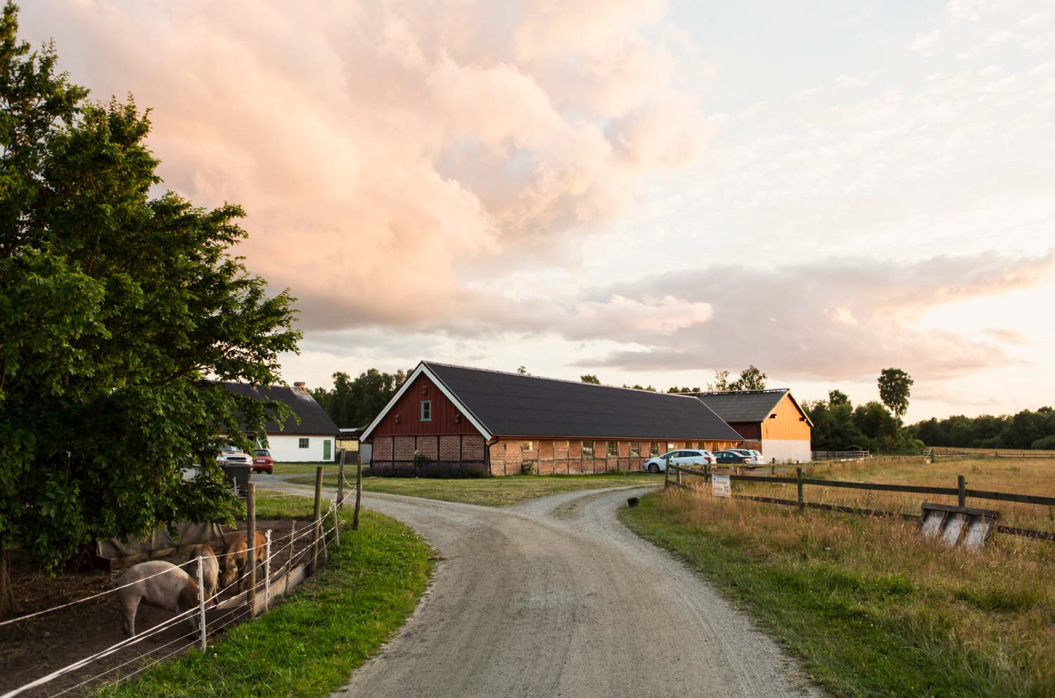 Barn against sky at farm