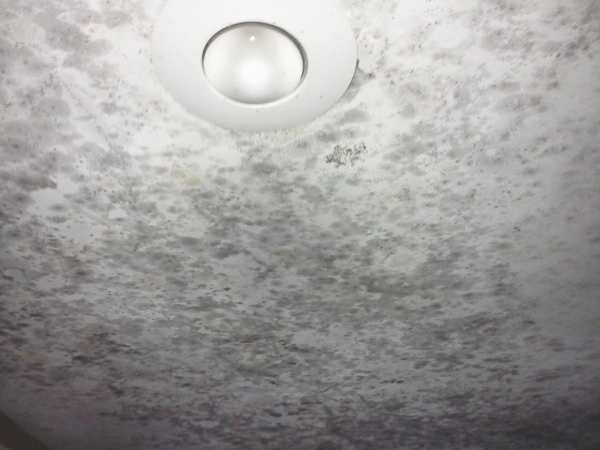 a ceiling covered with splattered patches of black mold