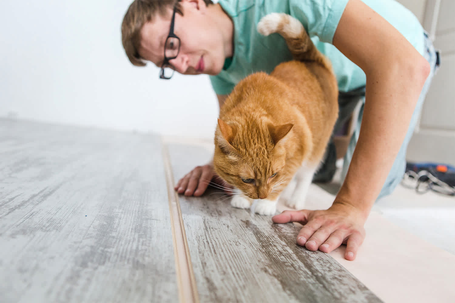Man installing flooring with a cat interrupting