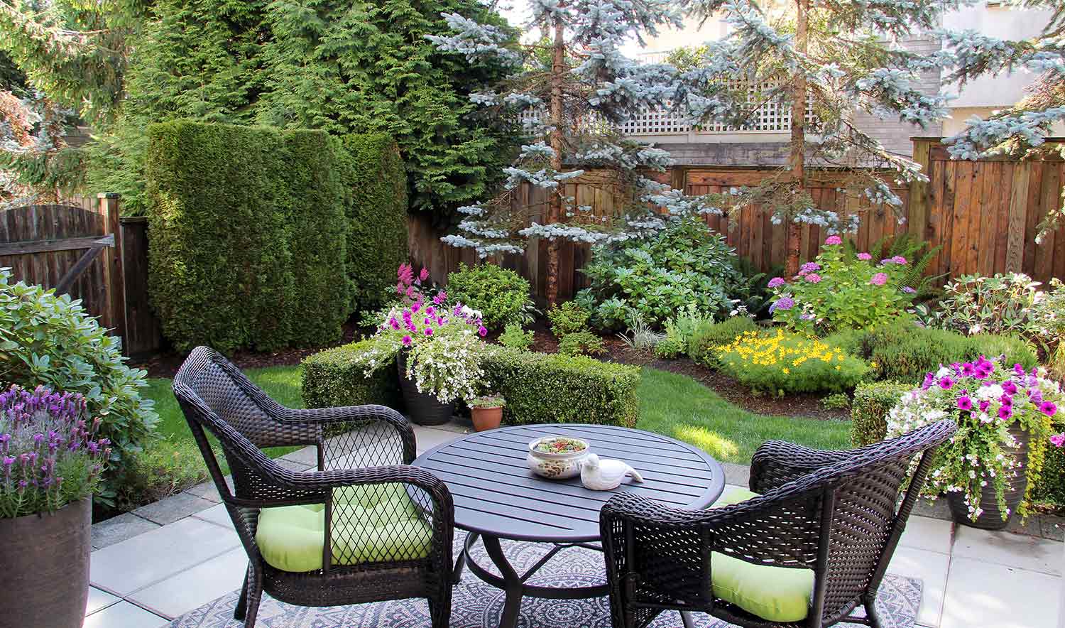 Backyard landscaping with pine trees