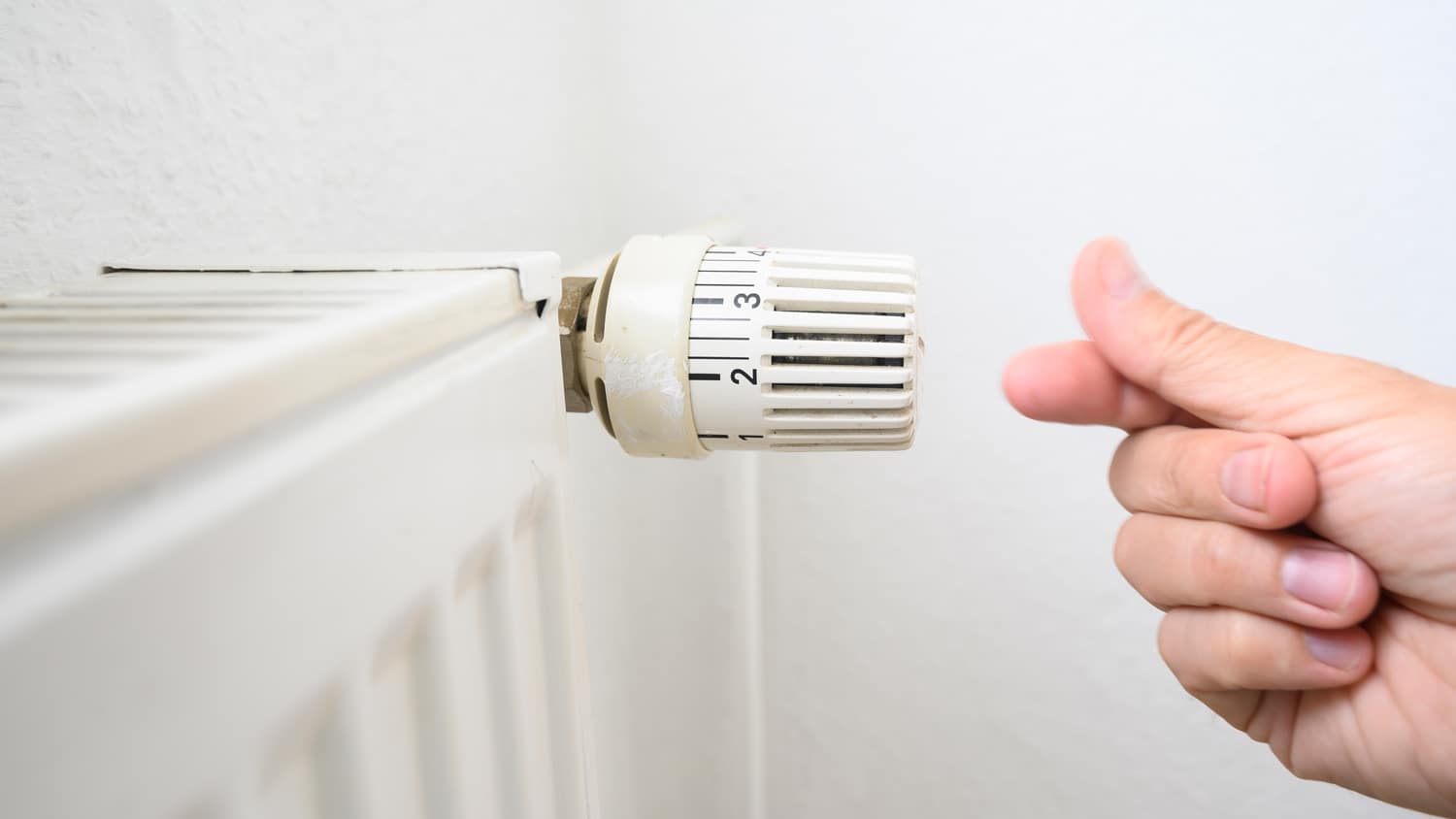 None Hand adjusting knob