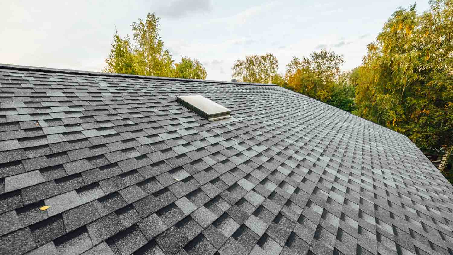 new roof shingles