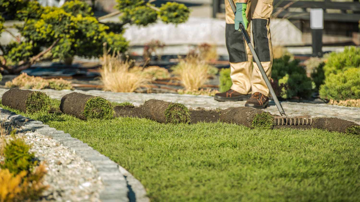 Contractor Installing Sod