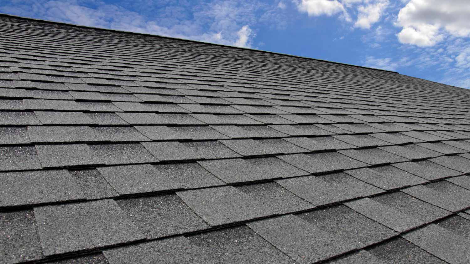 Asphalt roof shingles