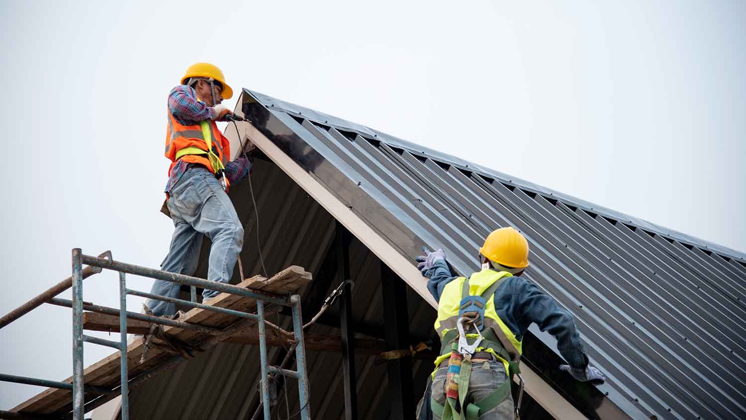 None professional roofers installing new metal roof
