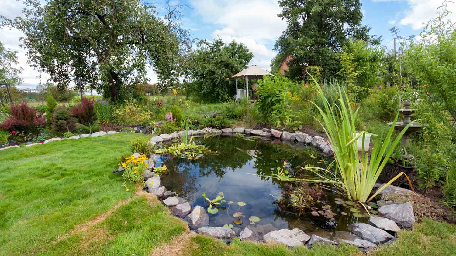 backyard with beautiful garden pond